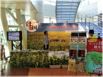 �H�c�ό��W