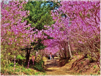 �R�o�m�~�c�o�c�c���W�܂�y�[�W��