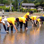 田植え（5月17日土曜）